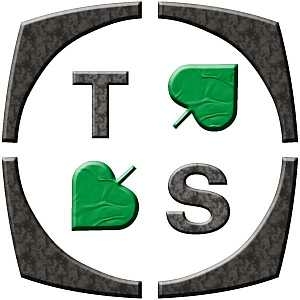 logo_ts